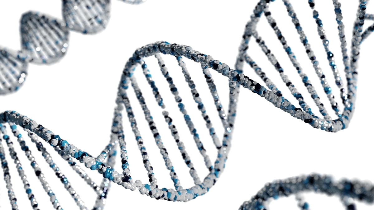 Approccio personalizzato alla nutrizione